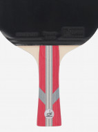 Набор для настольного тенниса Torneo Hobby Plus: 2 ракетки, 3 мяча, сетка — фото №7