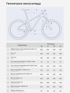 Велосипед горный Stern Motion 2.0 alt 29" 2024 — фото №12