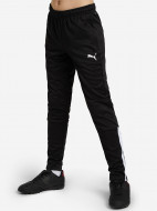Брюки для мальчиков PUMA Teamliga