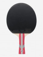 Набор для настольного тенниса Torneo Hobby Plus: 2 ракетки, 3 мяча, сетка — фото №2