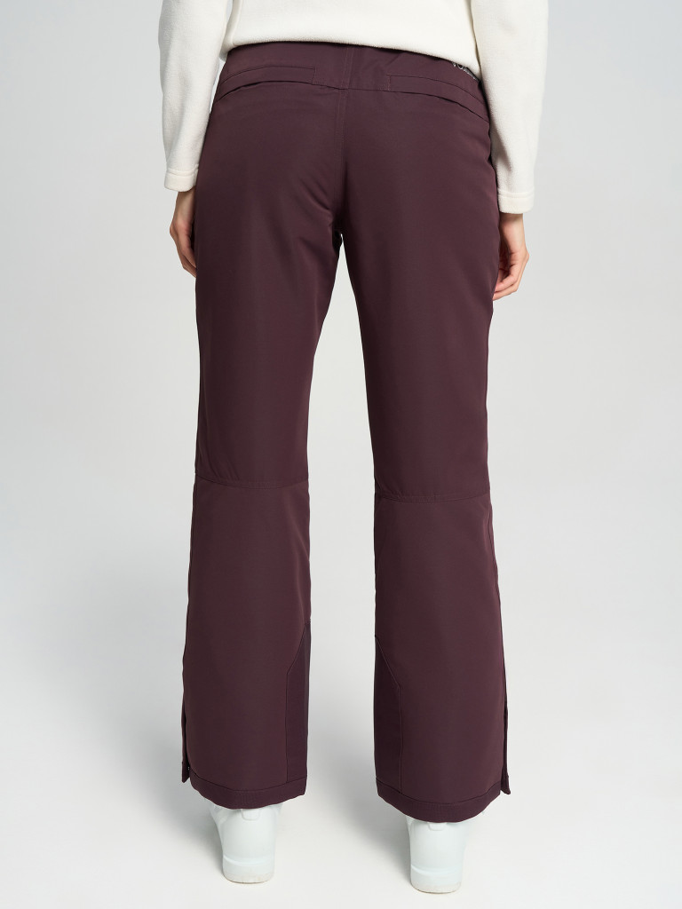 Брюки горнолыжные женские Columbia Bugaboo III Pant — фото №3