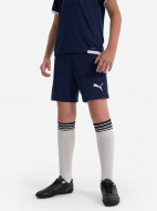 Шорты для мальчиков PUMA Teamliga Jr