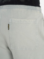 Protest ерлер шорты — фото №8