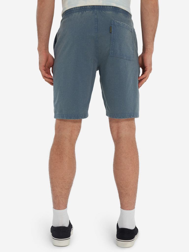 Protest ерлер шорты — фото №3