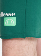 Шорты мужские Ellesse — фото №6