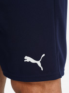 Шорты мужские PUMA Timerise — фото №6