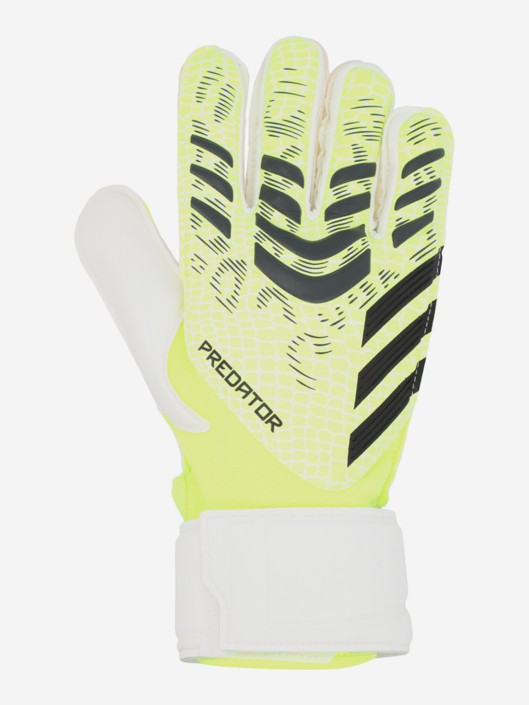 adidas Predator Match қақпашы қолғабы — фото №3