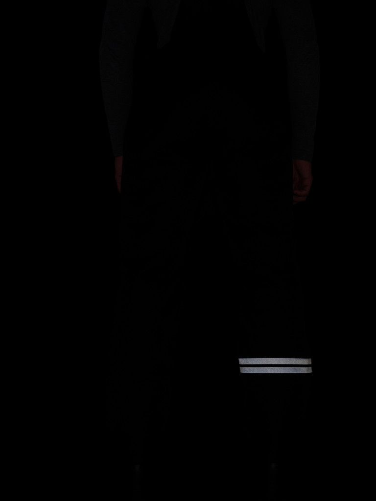 Брюки горнолыжные мужские SERGIO TACCHINI Ski — фото №11