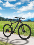 Stern Force 1.0 29" тау велосипеді