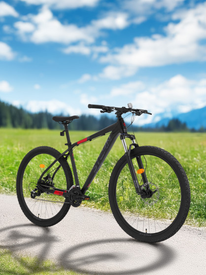 Велосипед горный Stern Force 1.0 29"