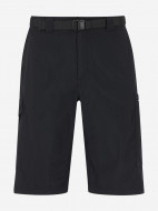 Шорты мужские Columbia Silver Ridge Cargo Short — фото №7