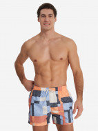 Шорты плавательные мужские Speedo