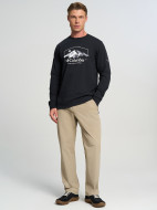 Лонгслив мужской Columbia CSC Graphic LS Tee — фото №3