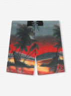 Шорты плавательные мужские Protest