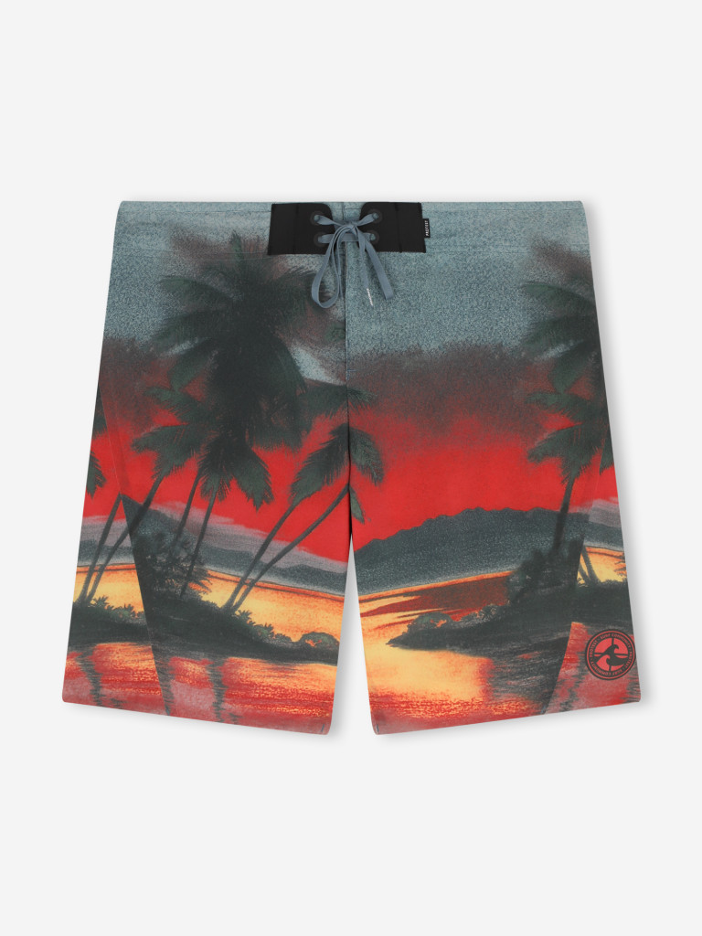 Шорты плавательные мужские Protest