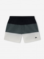Шорты плавательные мужские Ellesse