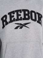 Reebok Colman ерлер худиі — фото №6