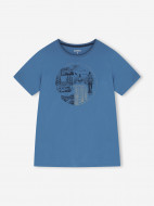 Футболка мужская IcePeak Beeville