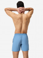 Шорты плавательные мужские Speedo Essentials — фото №2