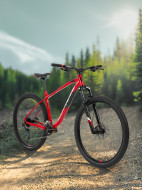 Rock Machine Blizz 30 29" тау велосипеді