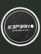 Парка мужская IcePeak Alberton — фото №10