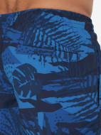 Шорты плавательные мужские Joss — фото №4