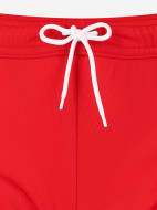 PUMA Teamliga Jr ұлдар шорты — фото №9