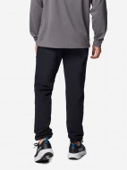 Брюки мужские Columbia Black Mesa Warm Pant — фото №2