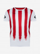 Футболка для мальчиков Demix