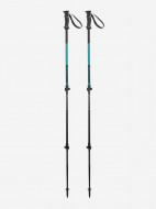 Палки треккинговые Masters Ranger