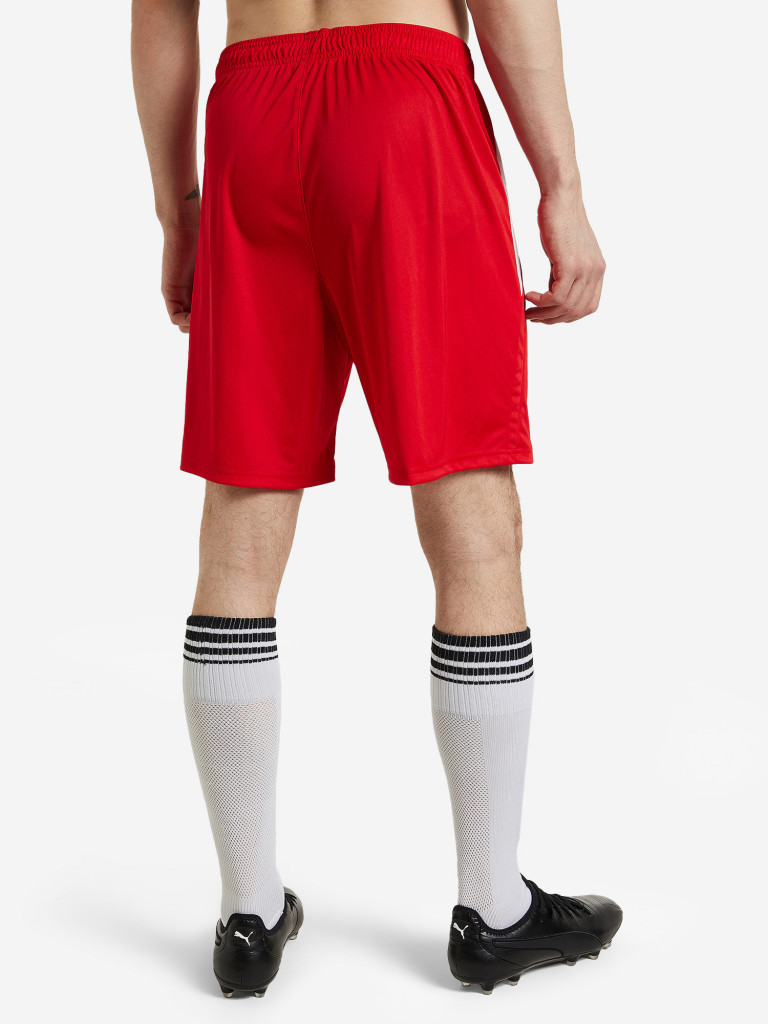 Шорты мужские PUMA teamLIGA — фото №2