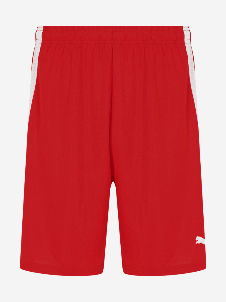 Шорты мужские PUMA teamLIGA — фото №6
