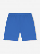 Шорты мужские PUMA Teamrise — фото №9