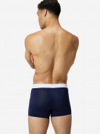 Плавки-шорты мужские Speedo Solid Square — фото №2