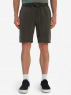 Protest ерлер шорты — фото №2