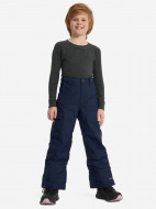Брюки утепленные для мальчиков Columbia Bugaboo III Pant — фото №4
