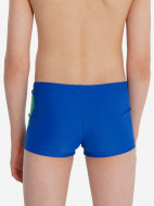 Joss ұлдарға арналған шорт-жүзулігі — фото №4