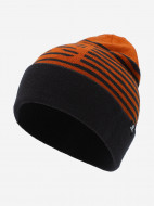 Шапка Salomon Flatspin Reversible