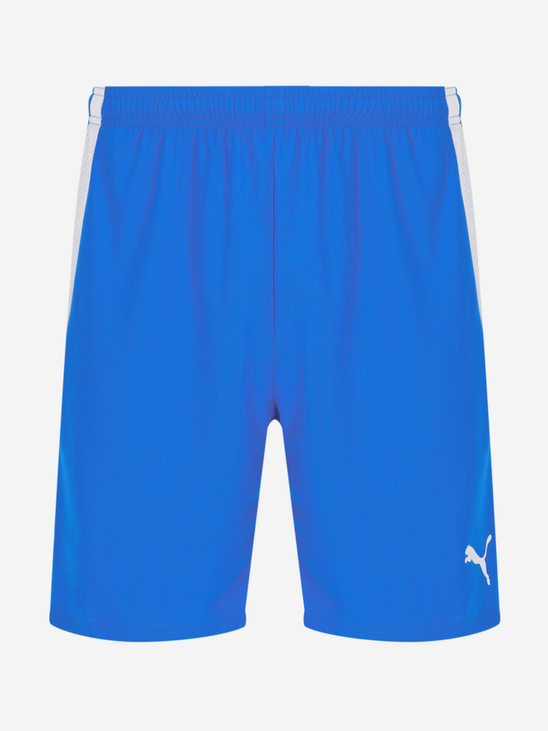 Шорты мужские PUMA teamLIGA — фото №6