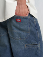 Шорты мужские DICKIES 13 Inch Loose — фото №9