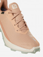 Кроссовки женские Salomon Alphacross 3 GTX — фото №8