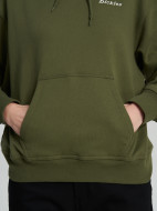 Худи женское DICKIES Loretto — фото №6