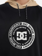 Худи мужское DC Shoes Dryden — фото №9