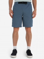 Protest ерлер шорты — фото №2