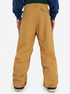 Брюки утепленные мужские DC Shoes Banshee — фото №3