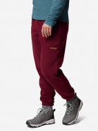 Брюки женские Columbia Sequoia Grove Fleece Pant — фото №2