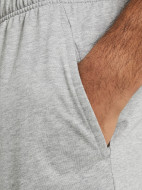 Шорты мужские Nike Dri-FIT — фото №4