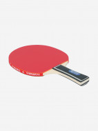 Набор для настольного тенниса Torneo Hobby Plus: 2 ракетки, 3 мяча — фото №4