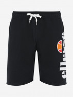 Шорты мужские Ellesse Bossini — фото №6