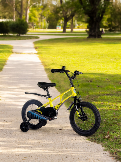 Maxiscoo Air Standart Plus 14" ұлдар велосипеді